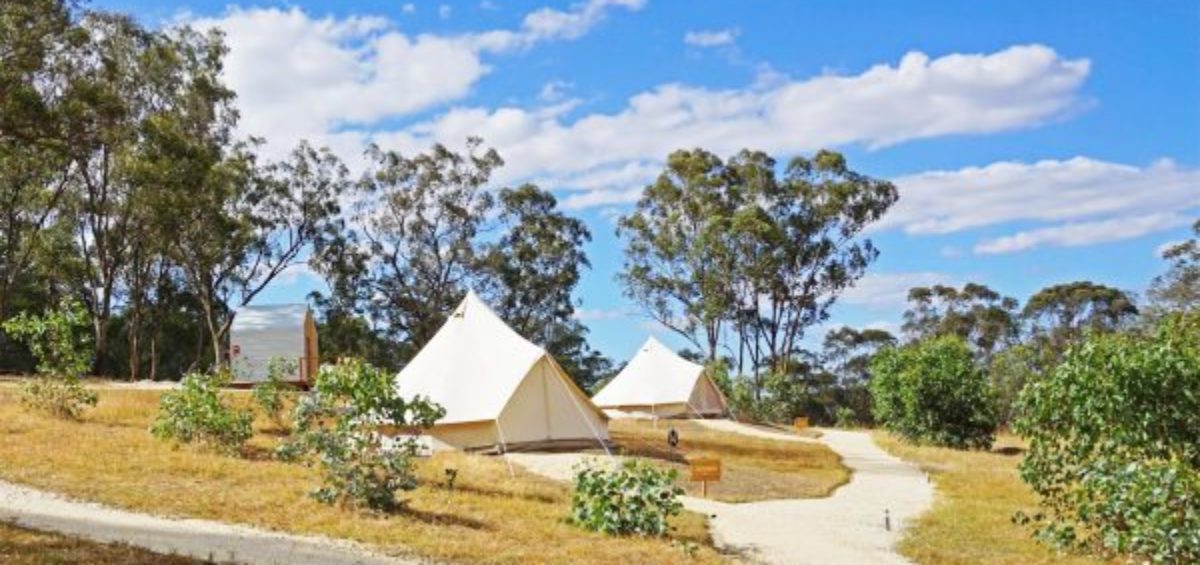Cosy Tents Glamping