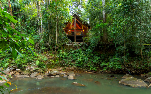 The canopy rainforest treehouses