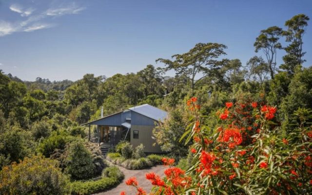 glamping spicers tamarind retreat qld
