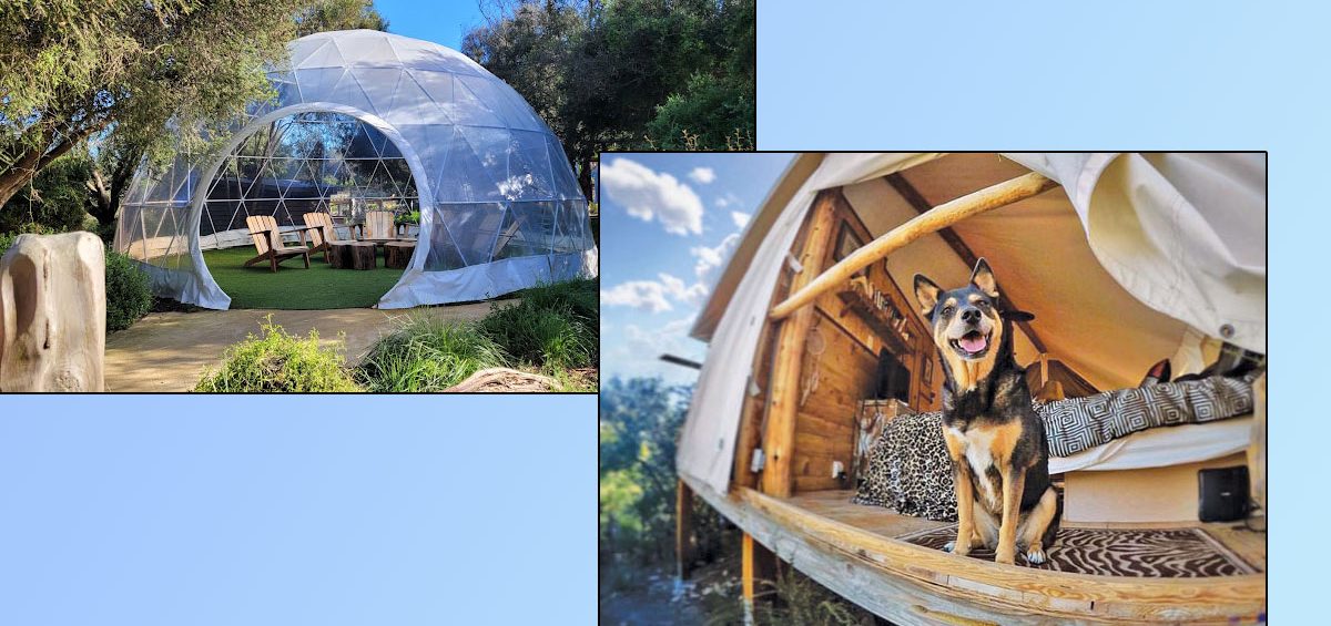 Dog friendly glamping Victoria
