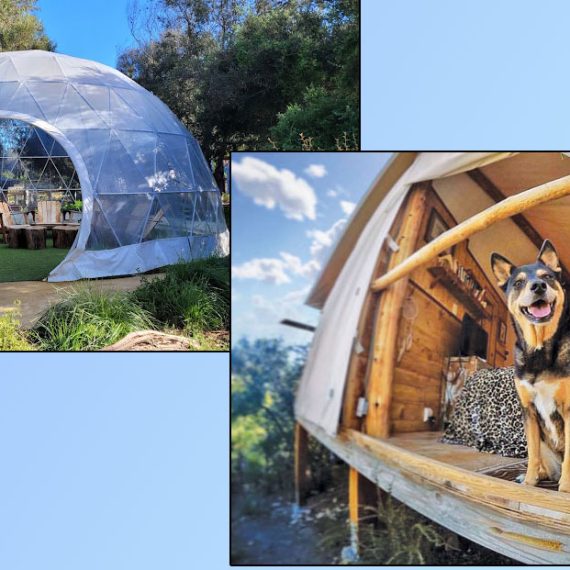 Dog friendly glamping Victoria