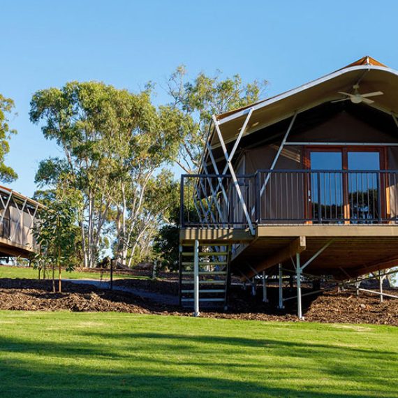 dog-friendly glamping South East Queensland