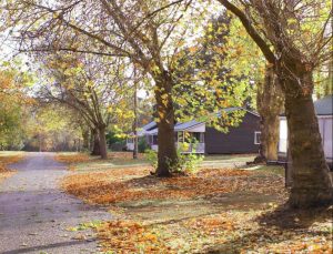 The woodsman's glamping retreat WA