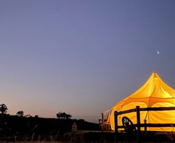 Pet friendly glamping Adelaide