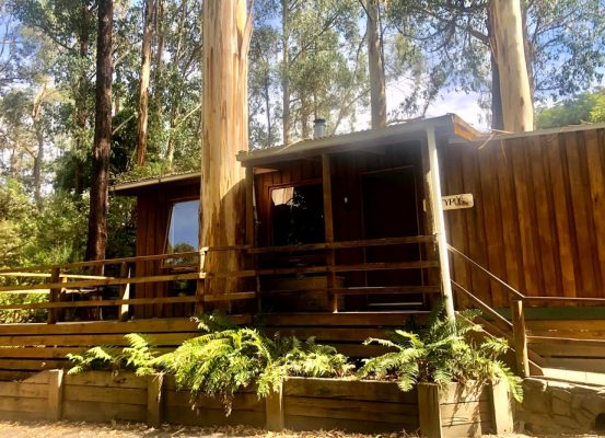 Tarra Valley Retreat Glamping Gippsland