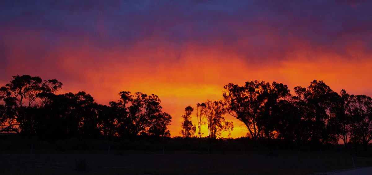 dog friendly glamping the Riverina NSW