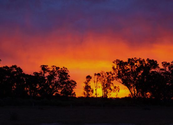 dog friendly glamping the Riverina NSW