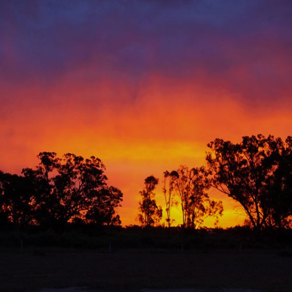 dog friendly glamping the Riverina NSW