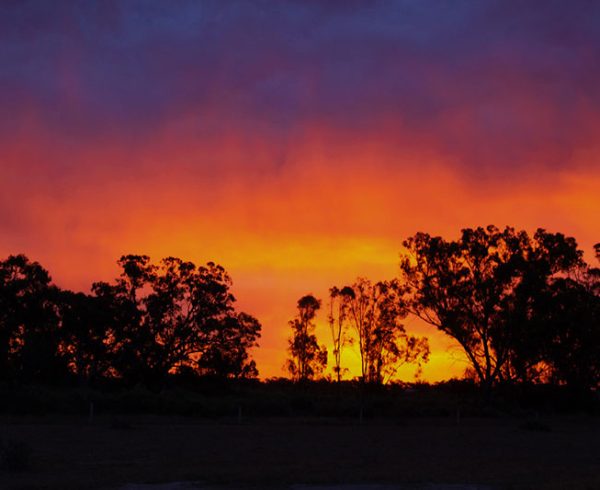 dog friendly glamping the Riverina NSW